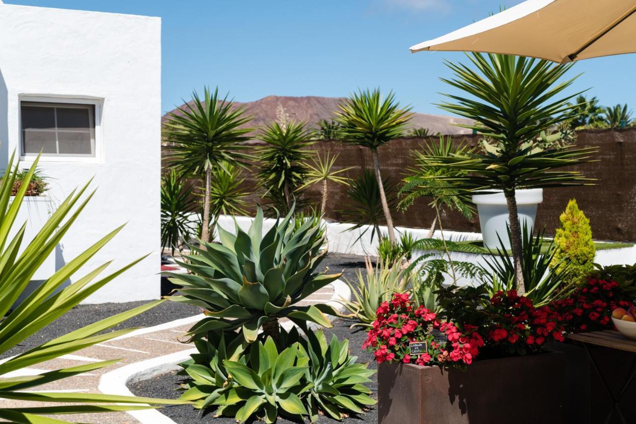 New Lanzasuites Vil·la Playa Blanca (Lanzarote)